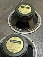 Celestion Greenbacks G12H Pulsonic Cones // 1972 magched pai