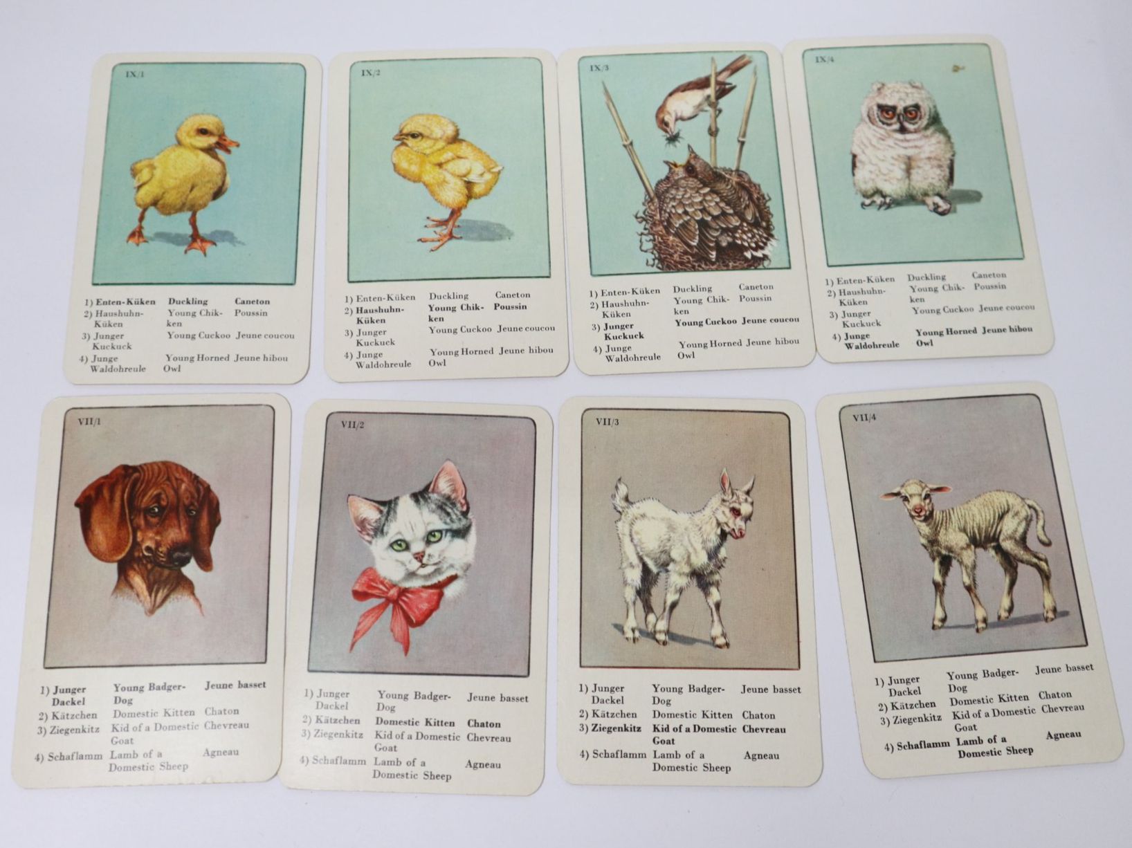 Spiele: Vintage Quartett Tierkinder – Gebraucht aus Eschenbach SG von Astalavista 4