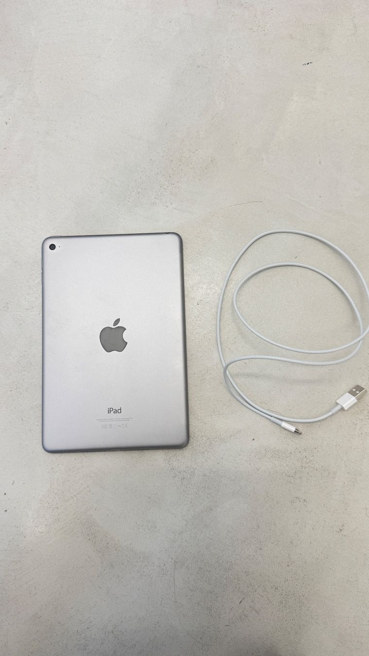 Apple Tablet PC: iPad mini 4 128GB année 2015 – Usato da giffers venduto da sev_c9x9 2