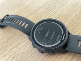 Garmin Forerunner 955 Solar
