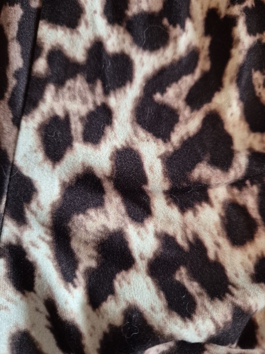 Pantaloni: Leoprint Shorts, High Waist, Größe M – Usato da Balterswil venduto da bischoftanja 1