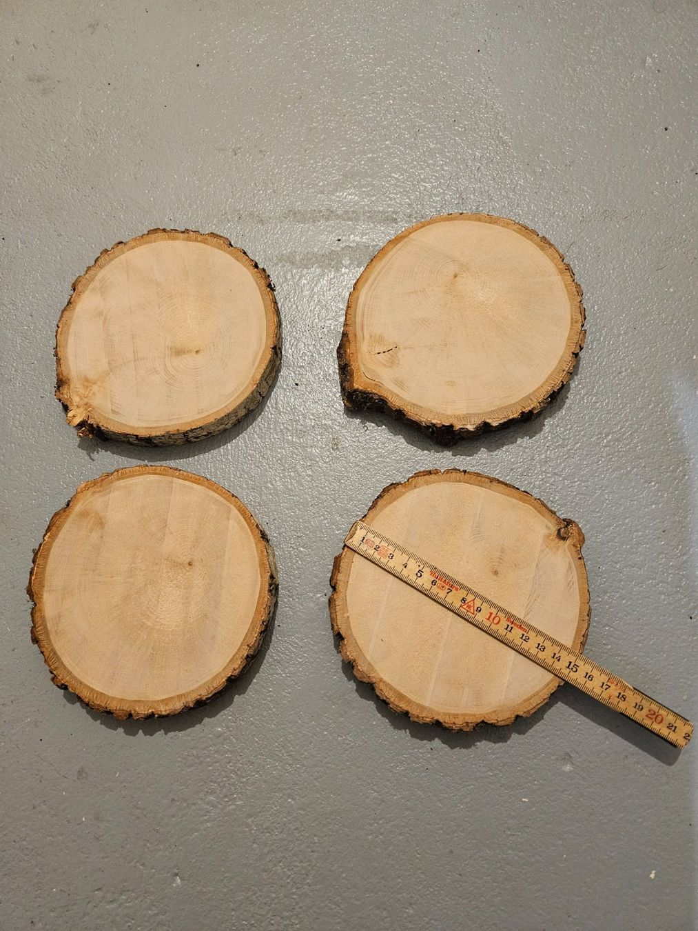 Articoli in legno: Rundholzscheiben/Baumscheiben – Nuovo (secondo la descrizione) da Brunnen venduto da kent03 3