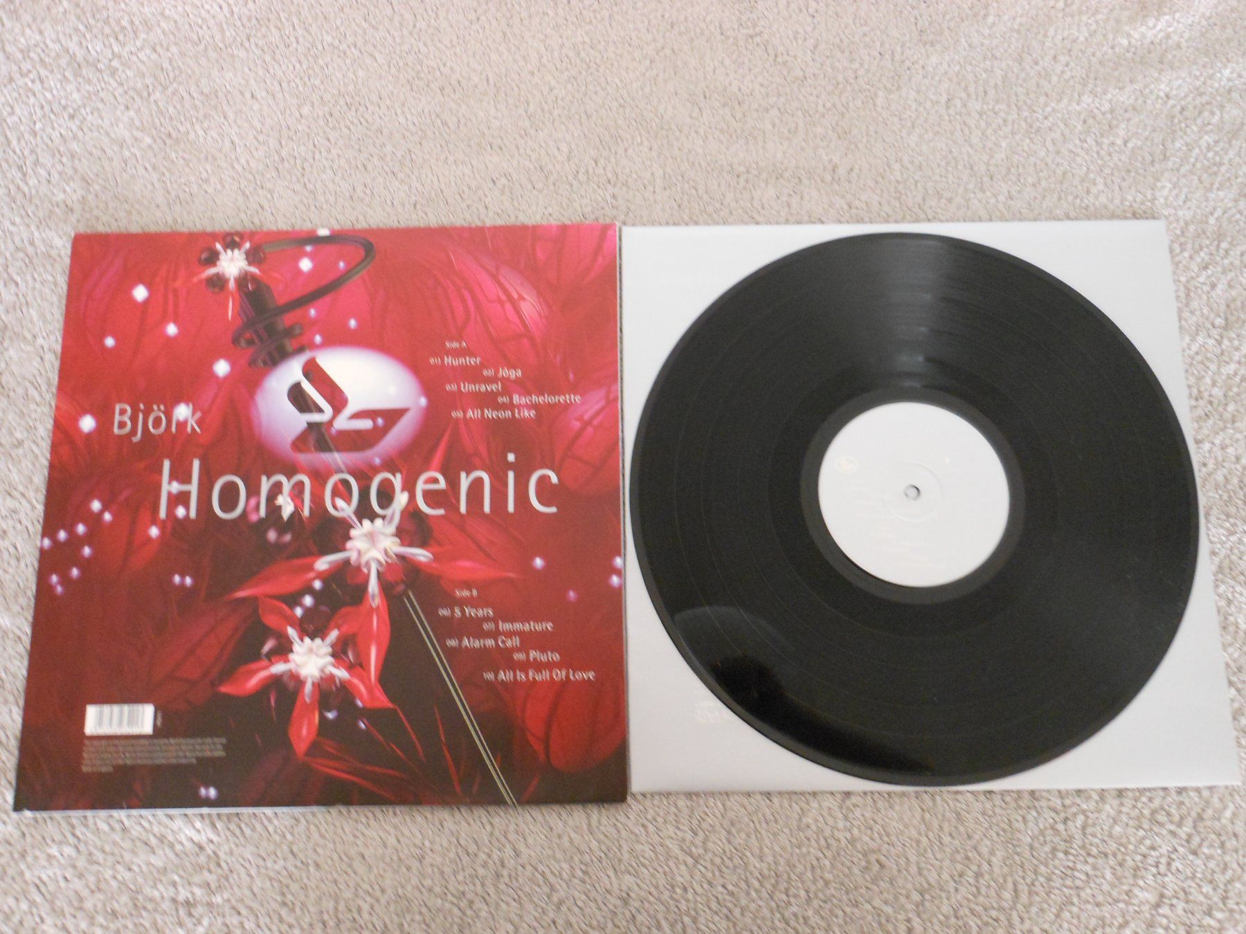Dischi in vinile: Björk – Homogenic – Usato da Liebefeld venduto da type013 1