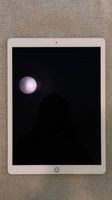 iPad Pro (12,9 Zoll, 2. Generation)