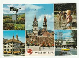 AK 1979, Wintherthur Altstadt, Stadtkirche Rosengarten