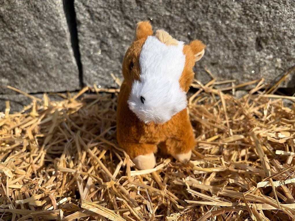 Spielzeuge: Das Pferdchen Balthasar  zum Adoptieren – Neu und originalverpackt aus Münchenstein von Zappi123 1