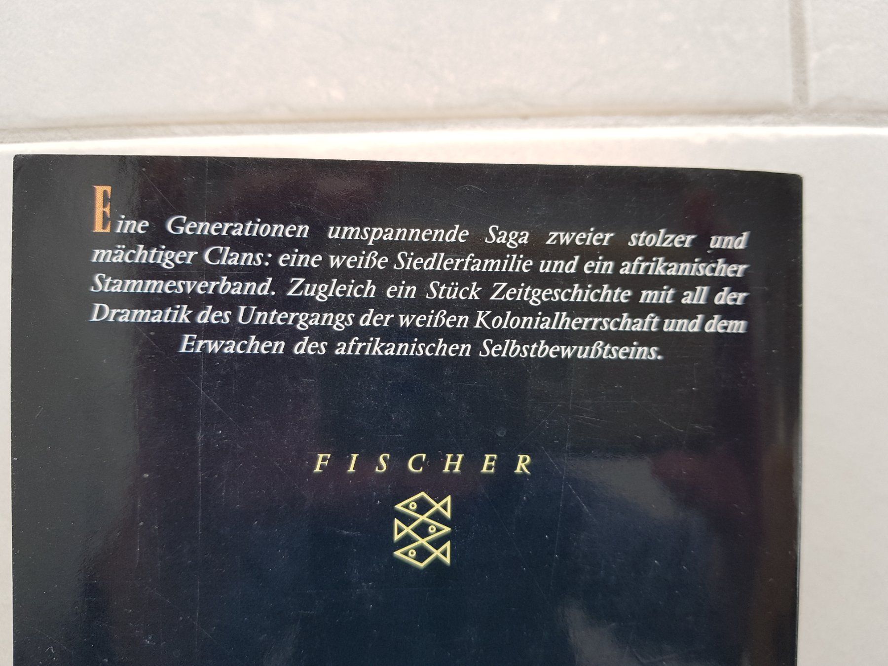 Libri: 2 Romane von Barbara Wood – Usato da Klosters venduto da Riva123 1