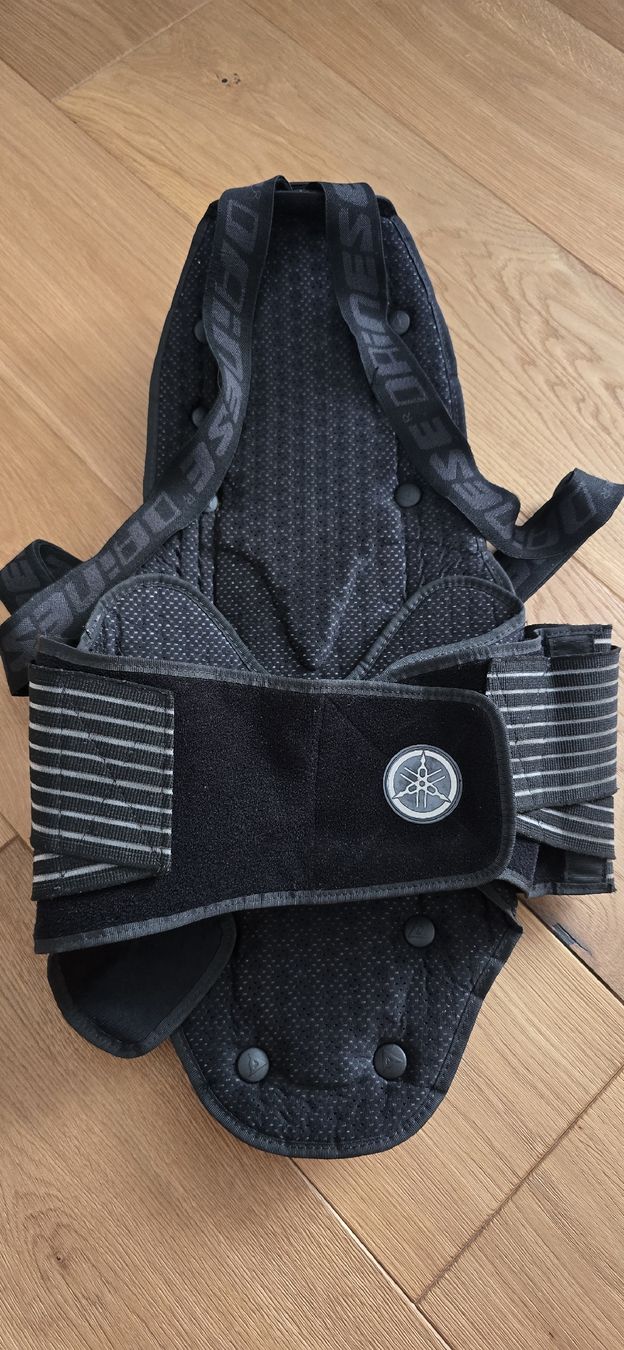 Dainese Protezioni & Imbottiture: Dainese Rückenprotektor – Usato da Möriken AG venduto da MedicineHat 3