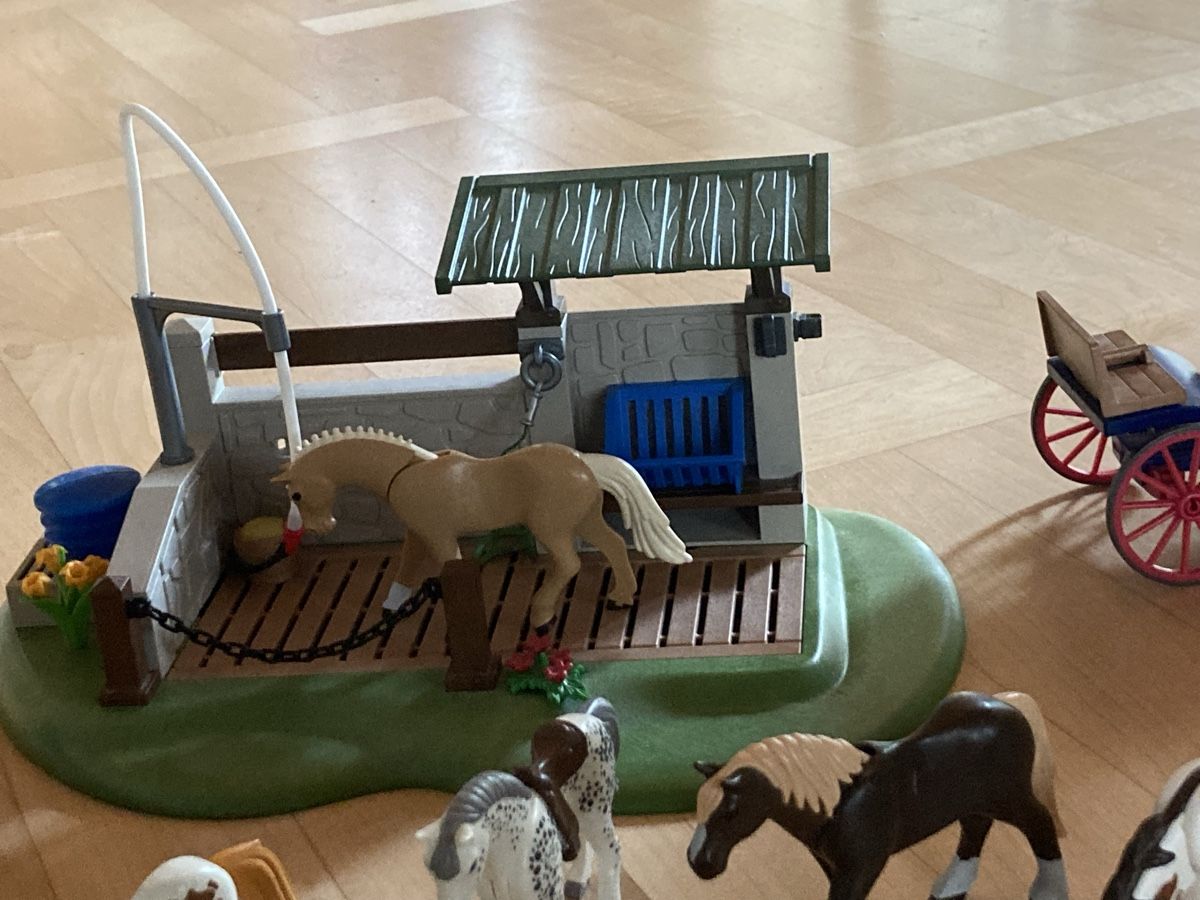 Playmobil Giocattoli: Playmobil Reiterhof  – Usato da Rüeggisberg venduto da sire75 3