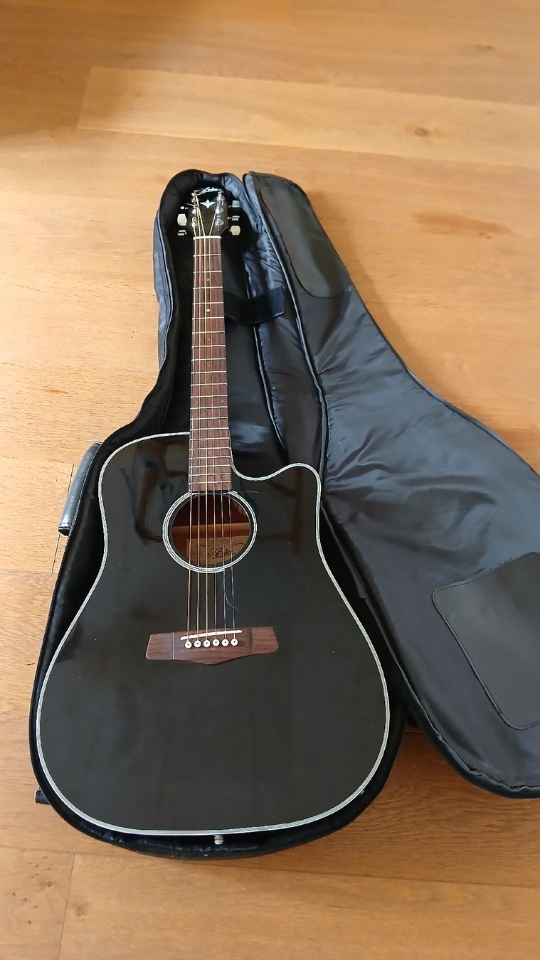 Aria Strumenti musicali: Akustikgitarre Aria – Usato da Bern venduto da jeatricks