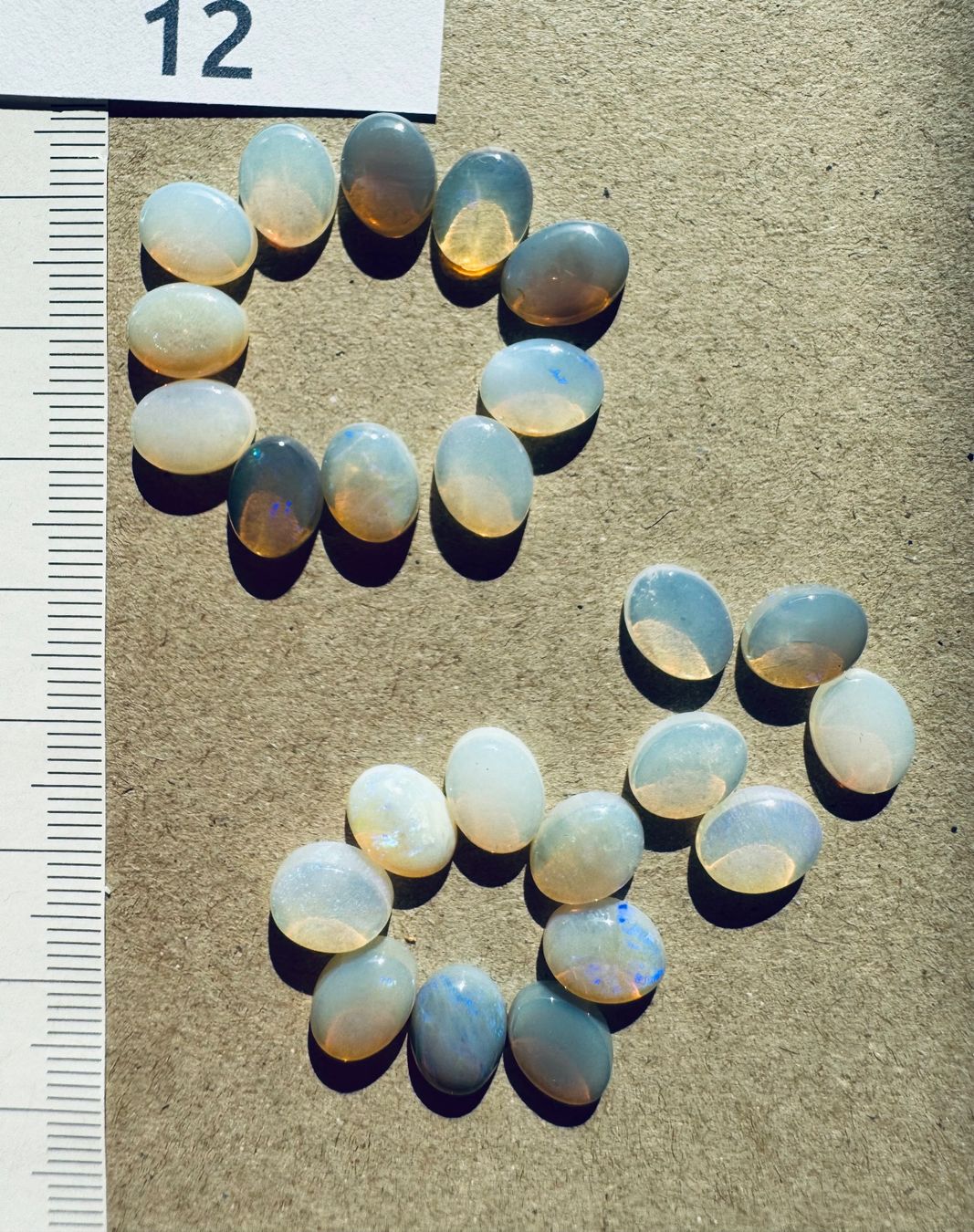Fossilien: 24 Stk  Cabochons Opal  echt!!  oval    7x9mm  solid – Neu und originalverpackt aus Leuggern von gemshow 7