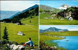 SACHSELN Aelggi-Alp - Brünighaupt - Seefeldalp