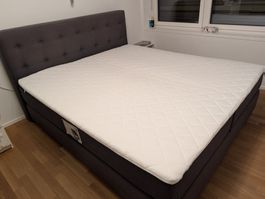 Boxspring Bett Eastborn Suite by BICO 180x200cm
