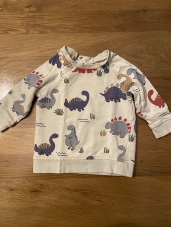 H&M Pullover mit Dinosauriermuster Grösse 74