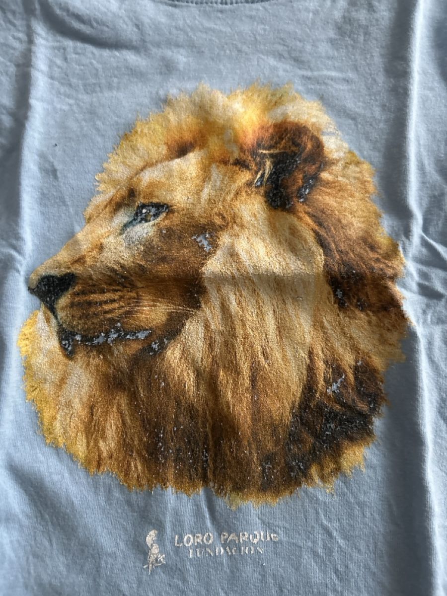Camicie, T-shirt & Polo: T-Shirt Gr 110/116 – Usato da Lostorf venduto da Venice16 1