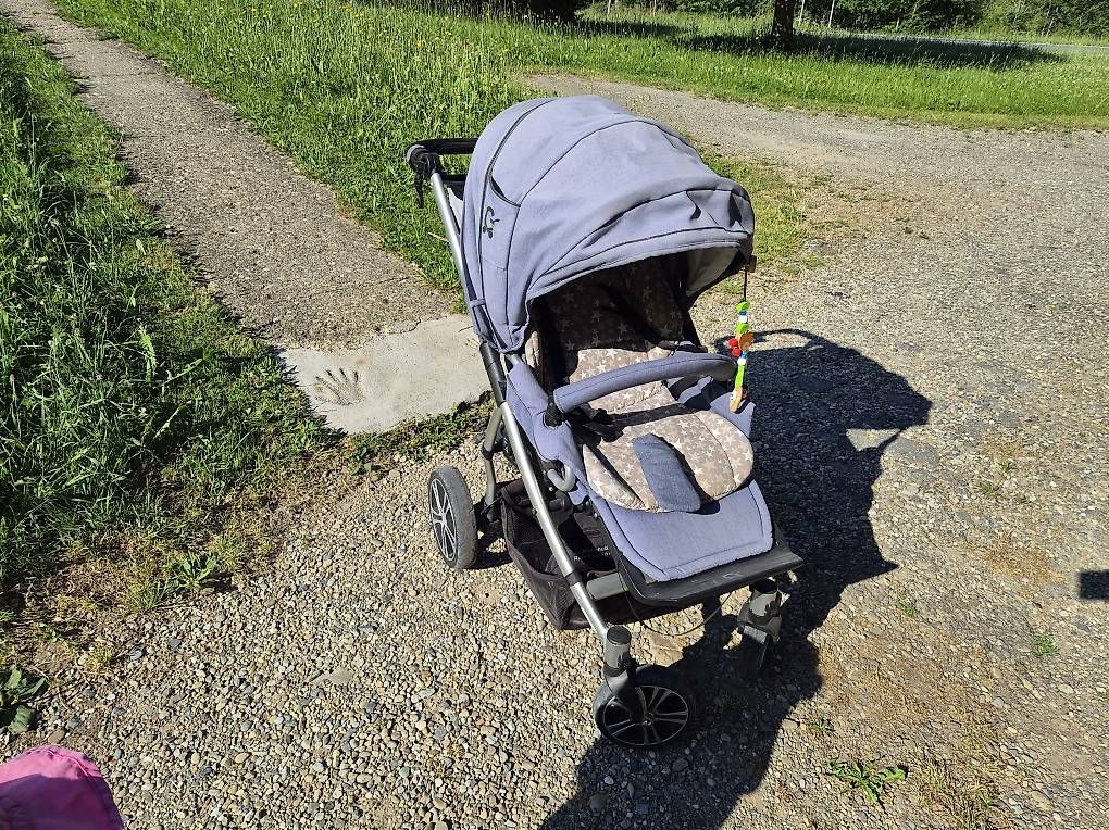 Carrozzine: Gesslein F4 Kinderwagen – Usato da Flühli LU venduto da tinuwicki 2