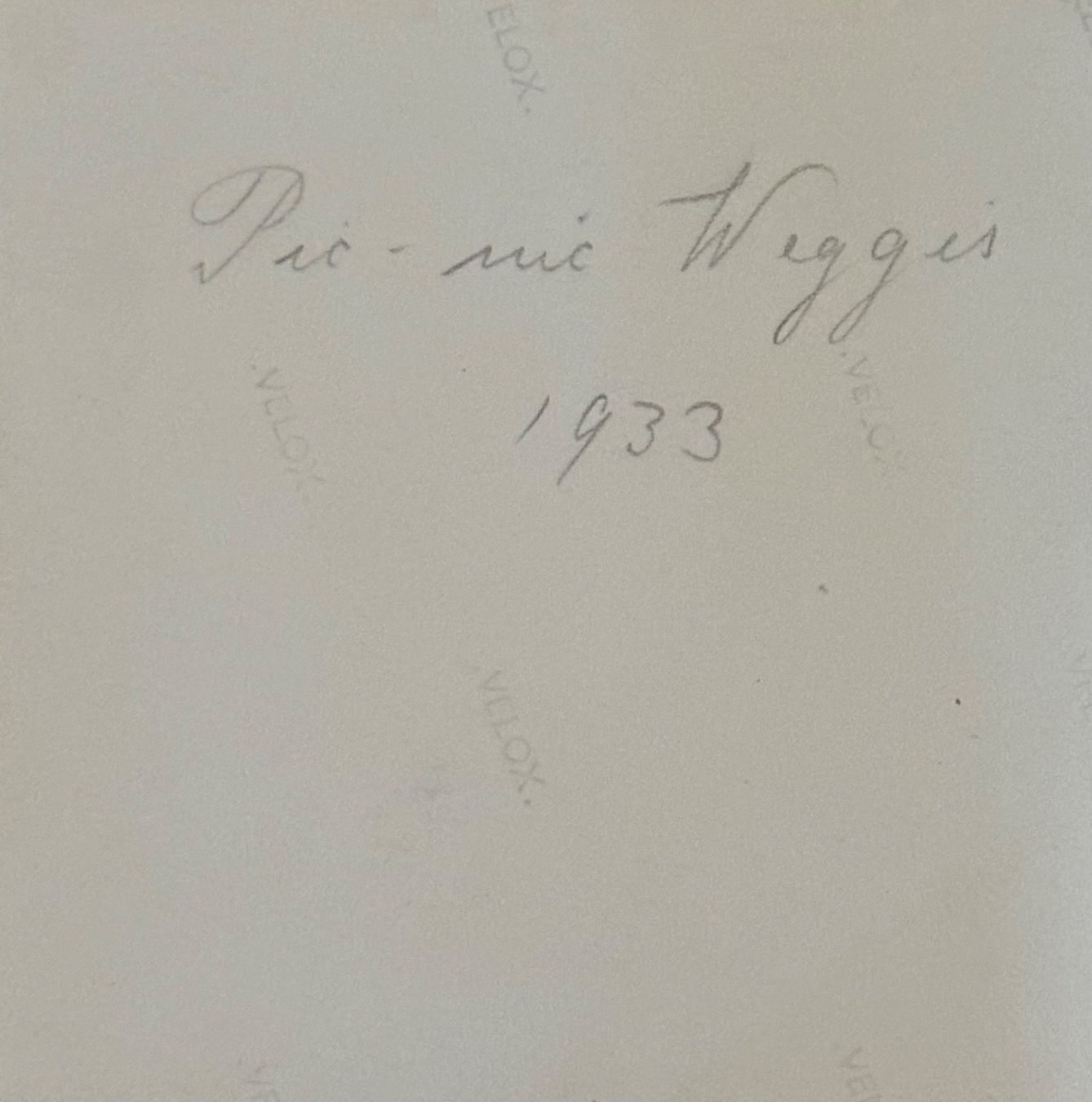 Cartoline postali: Privatfoto 1933 - Weggis, Picknick – Usato da Frauenfeld venduto da Merk52 1