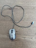 Trust USB Maus