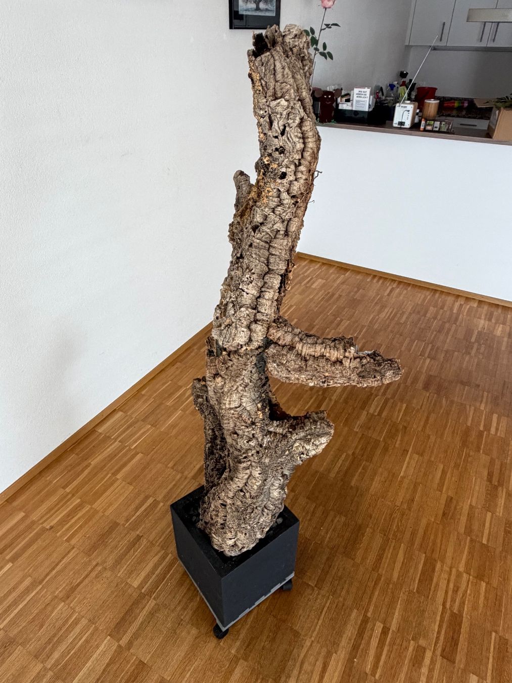 Toutes les décorations: Dekorations Baum aus Korkholz mit Topf – D'occasion à Kestenholz par Oliiiii 2