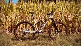 Canyon Lux Trail Gr. L