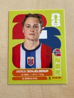 Panini WM 2026 - NOR 12