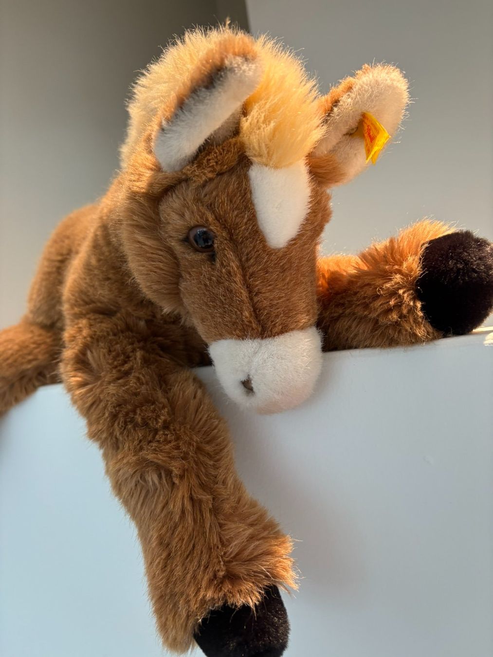 Steiff Spielzeuge: STEIFF Pony Pferd Fohlen Molly – Neu (gemäss Beschreibung) aus Egg b. Zürich von eve_h8pg 7