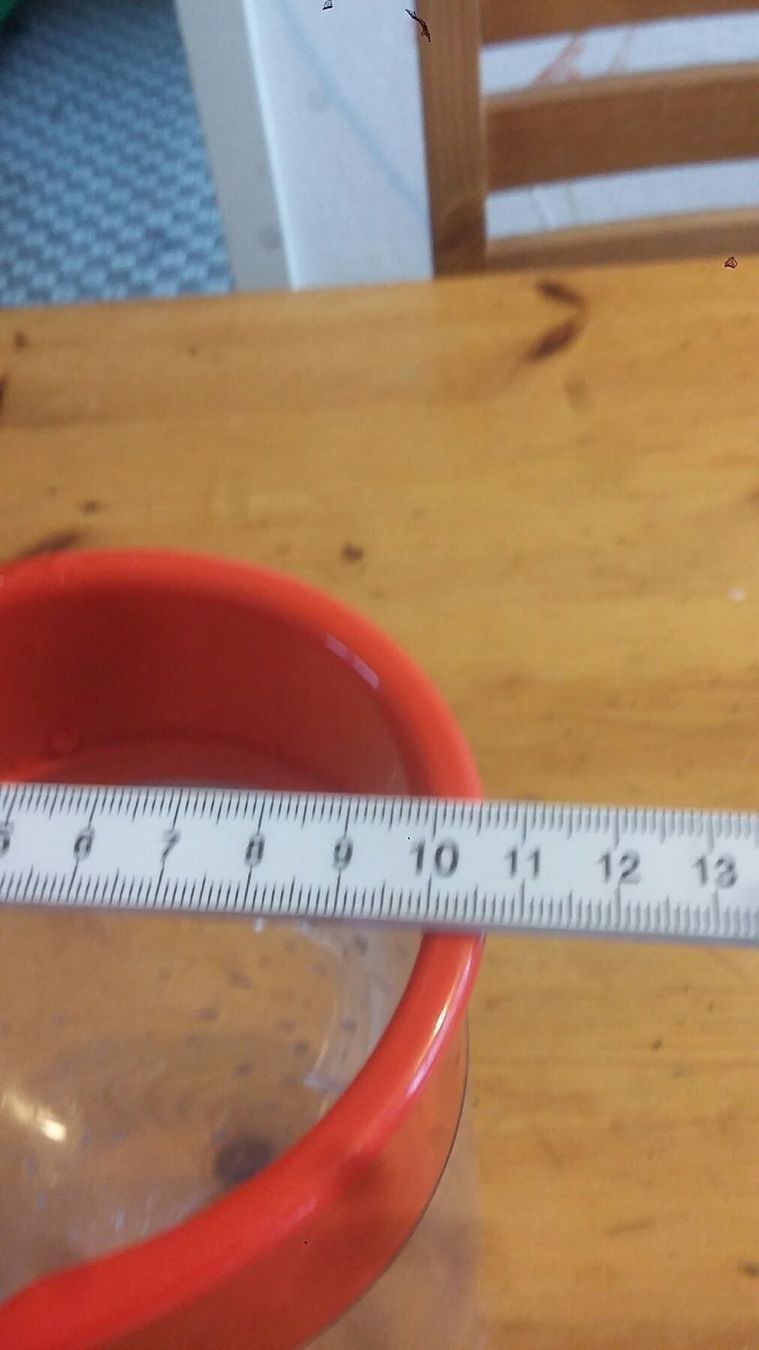 Recipients et similaires: 2 pots en plastique. – D'occasion à Miecourt par Marly1 3