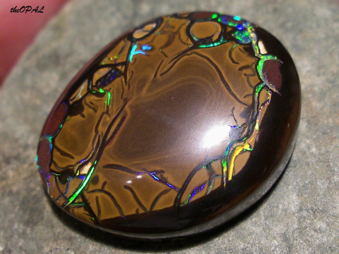 Edelsteine: theOPAL***WUNDERSCHÖNER BOULDER MATRIX NUSS OPAL 61,75ct*** – Neu und originalverpackt aus Ebnat-Kappel von theOPAL 1