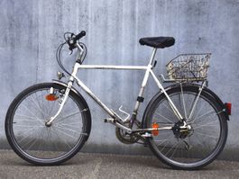 Velo Mountainbike Condor