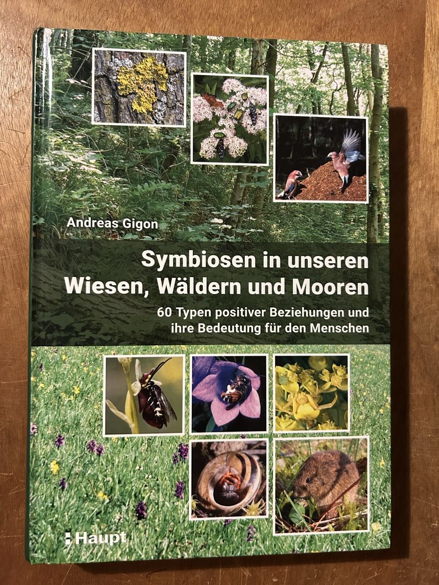 Libri: Symbiosen in Wiesen, Wäldern, Mooren - Gigon – Usato da Zürich venduto da WWehrle