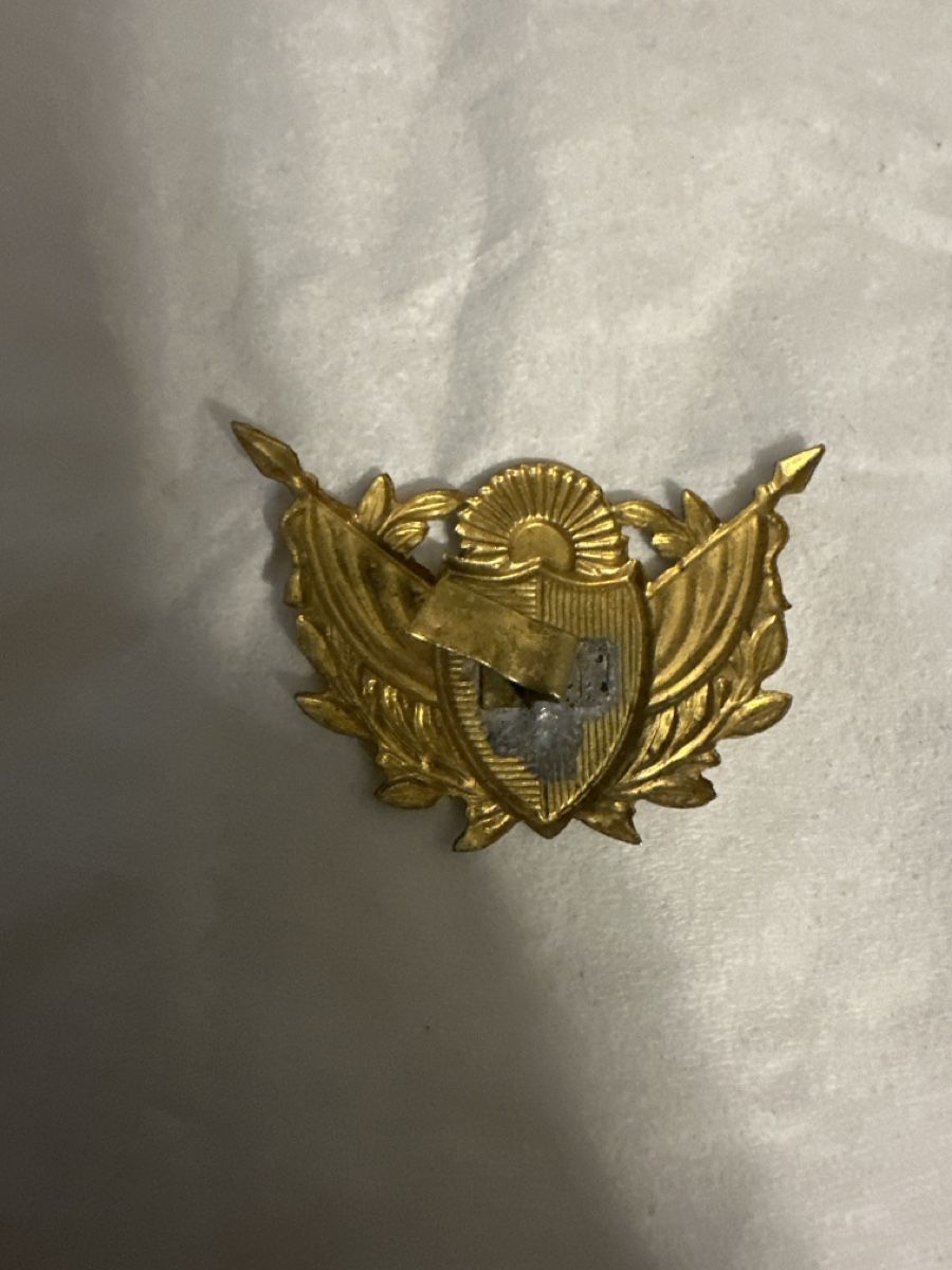 Placchette & Badge: Kapo TI – Usato da Morbio Inferiore venduto da Ecod 1