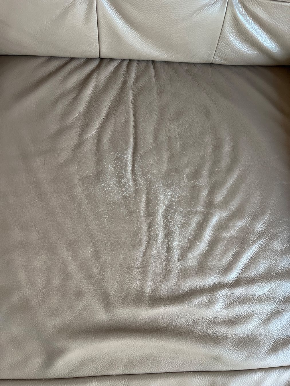 Divani: Schönes grosses Leder Sofa – Usato da Pratteln venduto da leh_tc6z 3