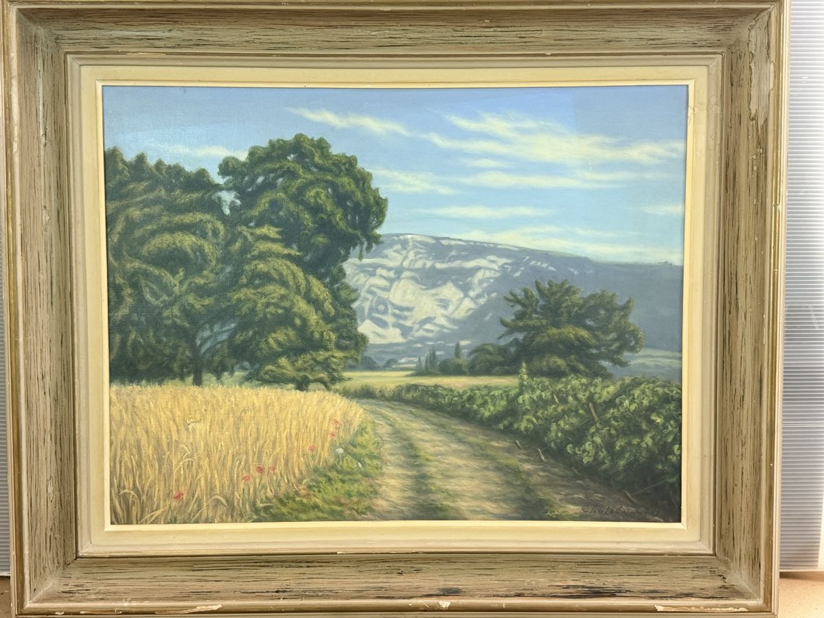 Gemälde: Ölgemälde 67’-  Landschaft – Gebraucht aus Solothurn von NUVICO 1