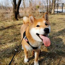 Profile image of BenutzerXYZ