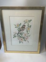 Anne-Marie Trechslin Original Aquarell Buchfink 1982