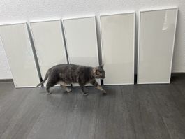 5 identische Alu-Bilderrahmen
