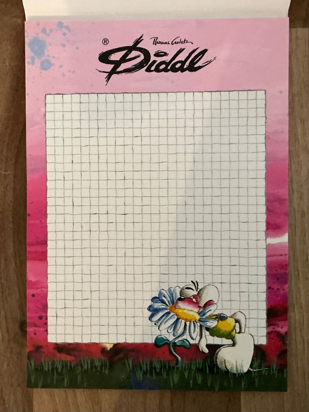 Carta: Diddl A5 A5 Blockblatt Nr. 1 Rarität – Nuovo (secondo la descrizione) da St. Margrethen SG venduto da vista23 1