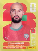 Panini FIFA World Cup MAR 10