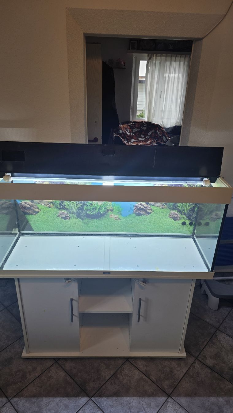 Juwel Aquarium: Juwel Aquarium 240L – D'occasion à Oberhofen TG par Pea_fj7 1