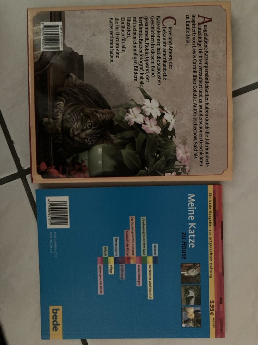 Riviste & Magazine: Wegweiser Katze – Nuovo (secondo la descrizione) da Schlattingen venduto da fernfen 1