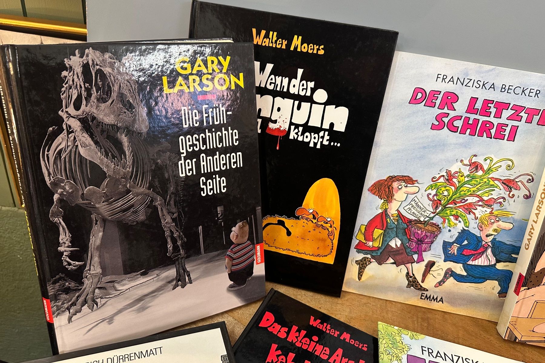 Fumetti: Comic Sammlung Gary Larson Walter Moers gebraucht – Usato da Otelfingen venduto da Yossi-68 1