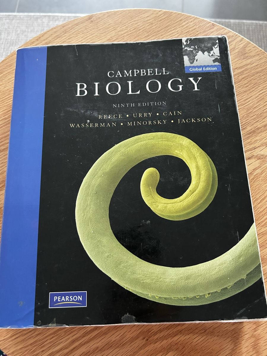 Libri: Buch: Biology – Usato da Thun venduto da sof_by7w