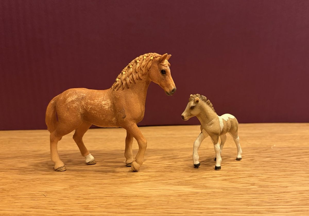Schleich Spielzeuge: Schleich Pferde Set – Gebraucht aus Blumenstein von rumba9 1