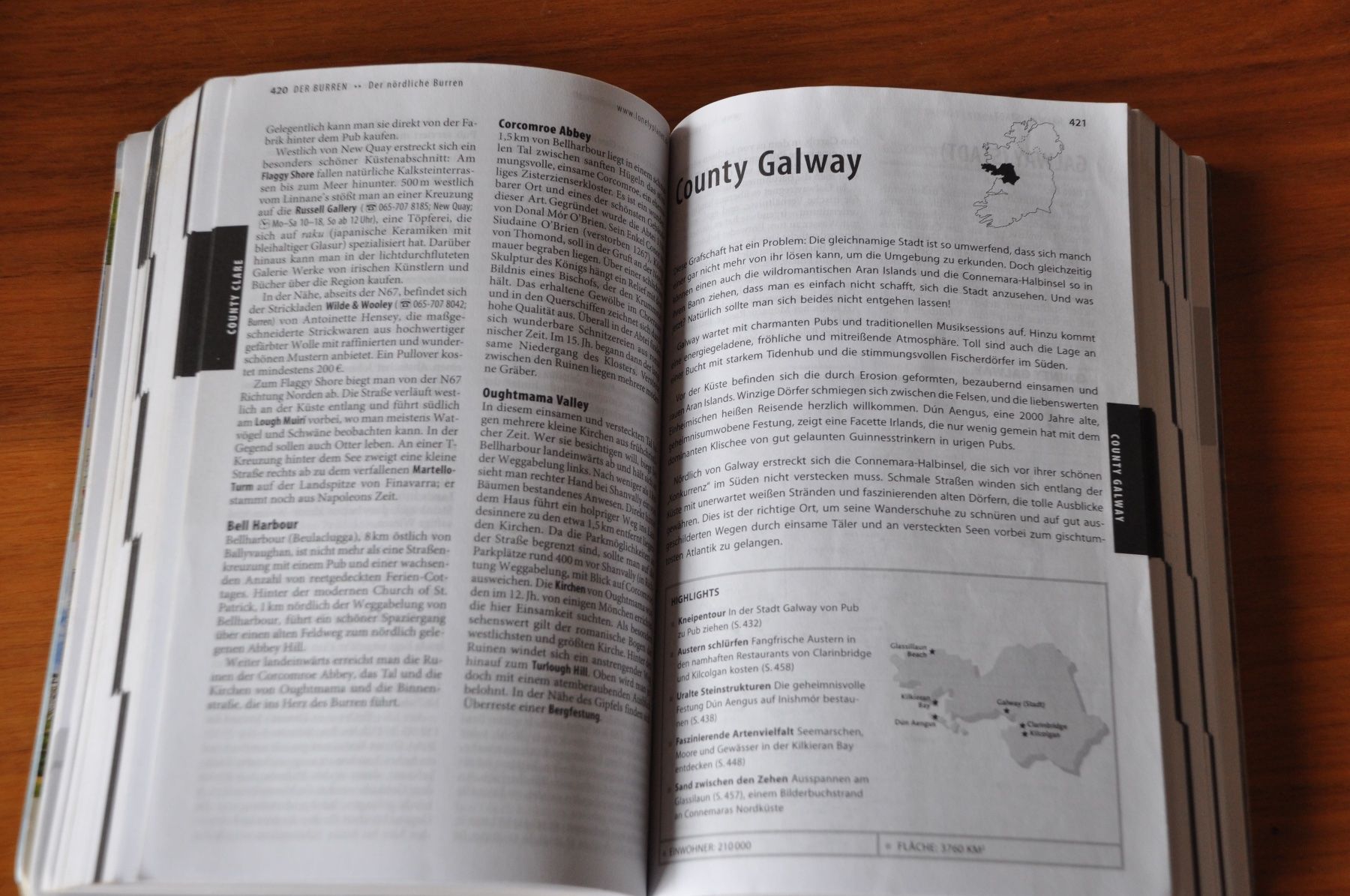 Bücher: Lonely Planet: Irland (2010) – Gebraucht aus Basel von fido_mania 3