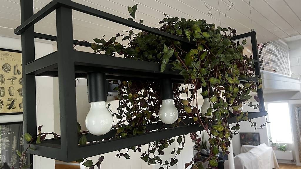 Lampadari & plafoniere: Designer Pendelleuchte, Schwarzes Metall, Modern – Usato da Brütten venduto da ann_m5d2 2