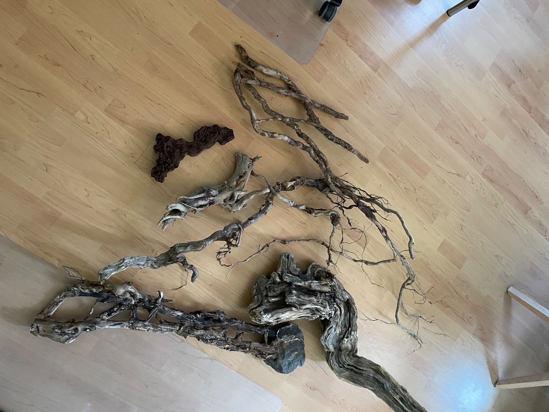 Tutte le decorazioni: Branches de tout types pour terrarium – Usato da Monthey venduto da rma_m72q