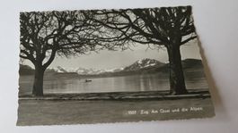 Zug - Am Quai und die Alpen - 1933