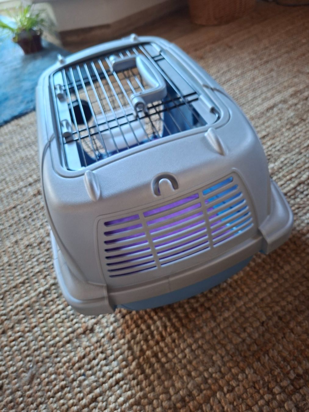 Ferplast Cucce & Letti: Transportkiste Katze – Nuovo e nell'imballaggio originale da Bad Zurzach venduto da kay_58q6 2