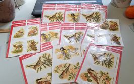 Kleber Sticker Decals Vögel Hase Reh Bär Fuchs Vintage