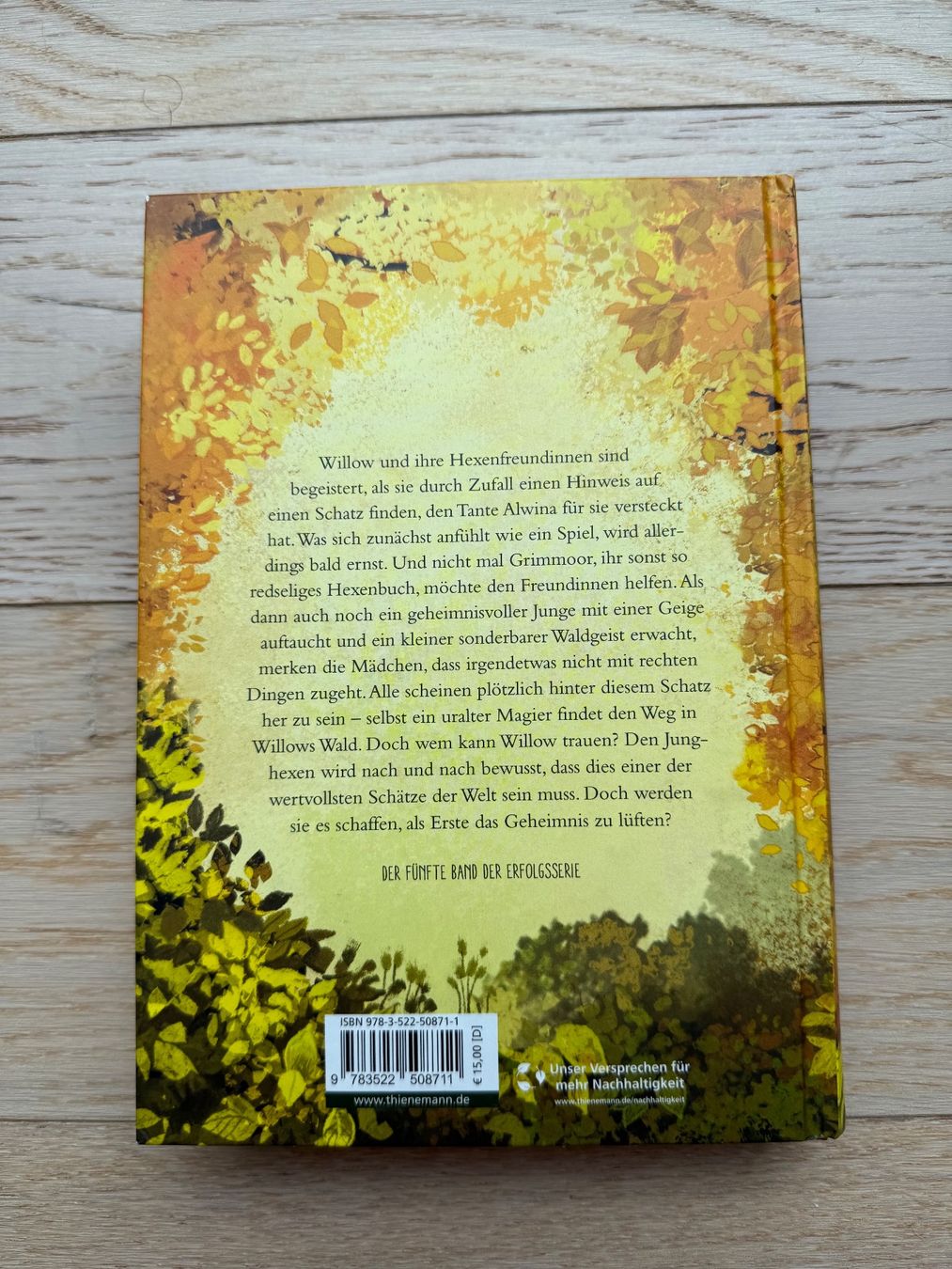 Libri: Ein Mädchen namens Willow 5: Schattenzeit – Usato da Hirzel venduto da Dream-Box 1